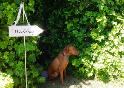Miss Remy - waiting for the bride to arrive